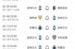 开云体育APP下载-亚特兰大客场逆转都灵，积分榜上略有提升的简单介绍